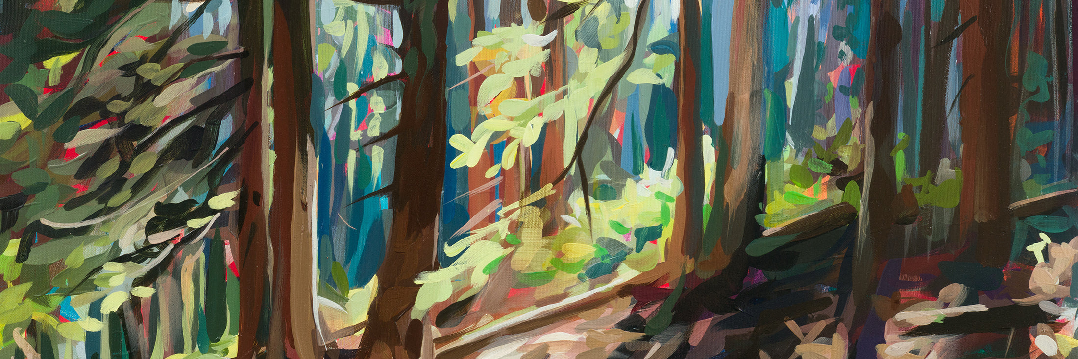 Forest Light