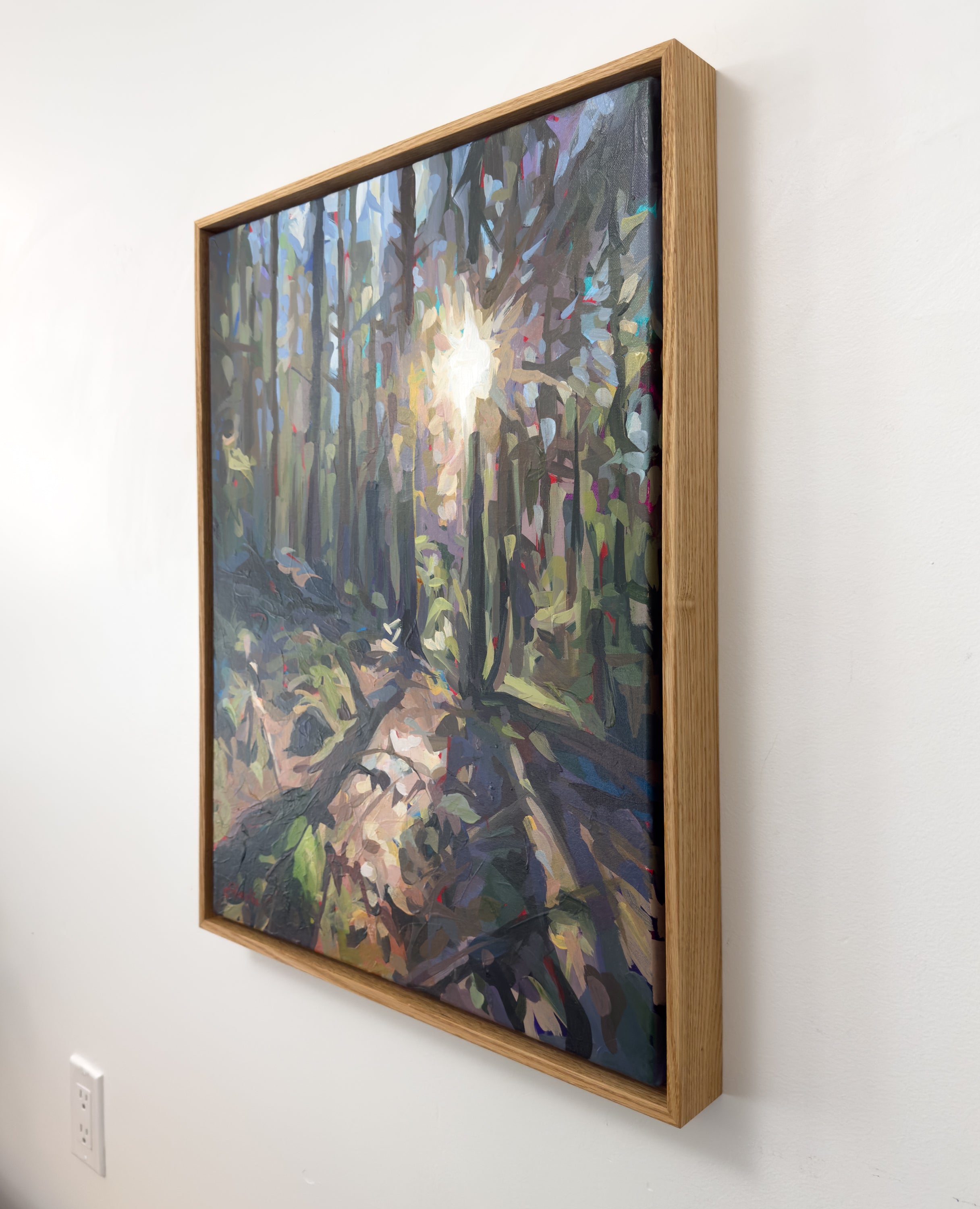 Seymour Sunburst