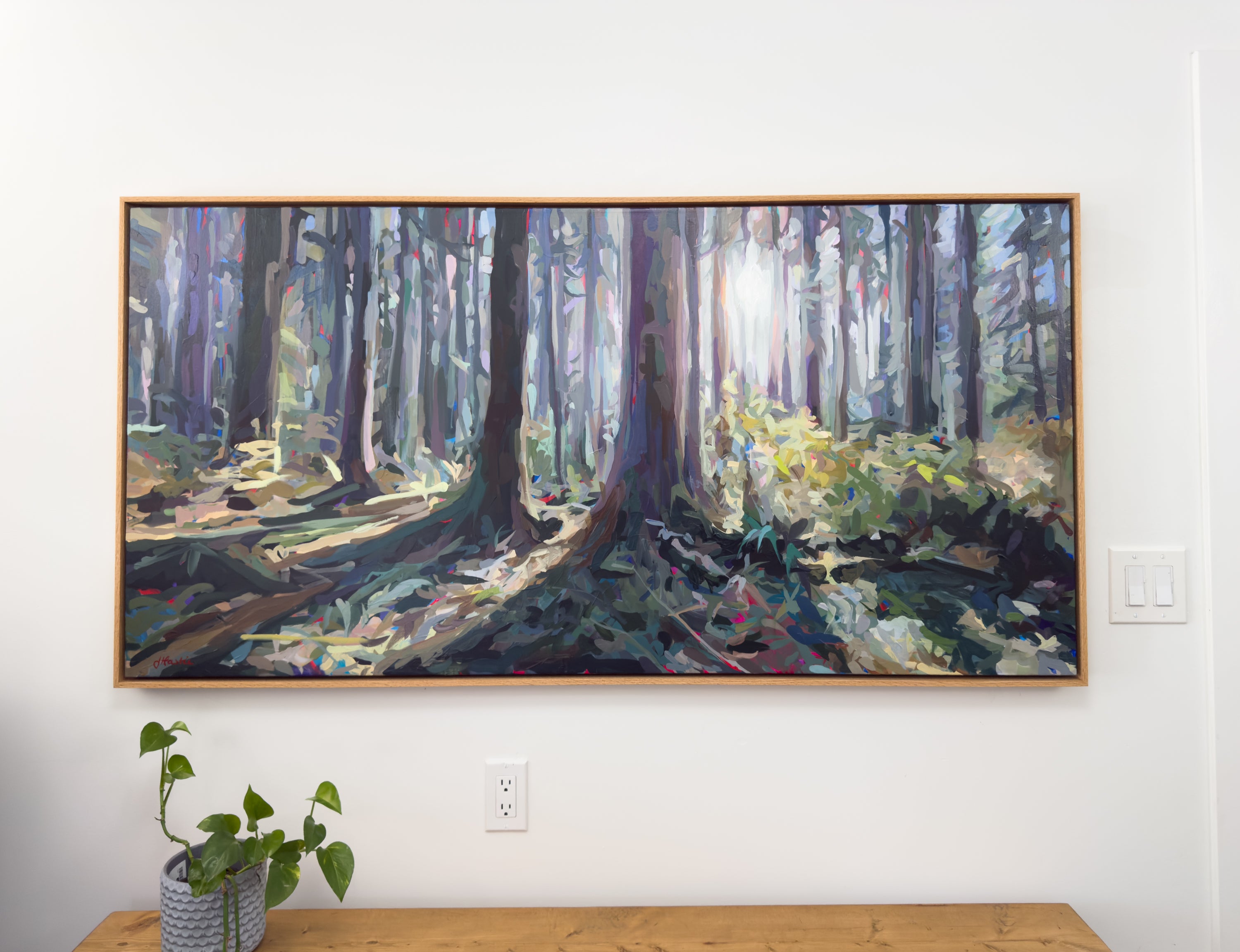 Forest Surround