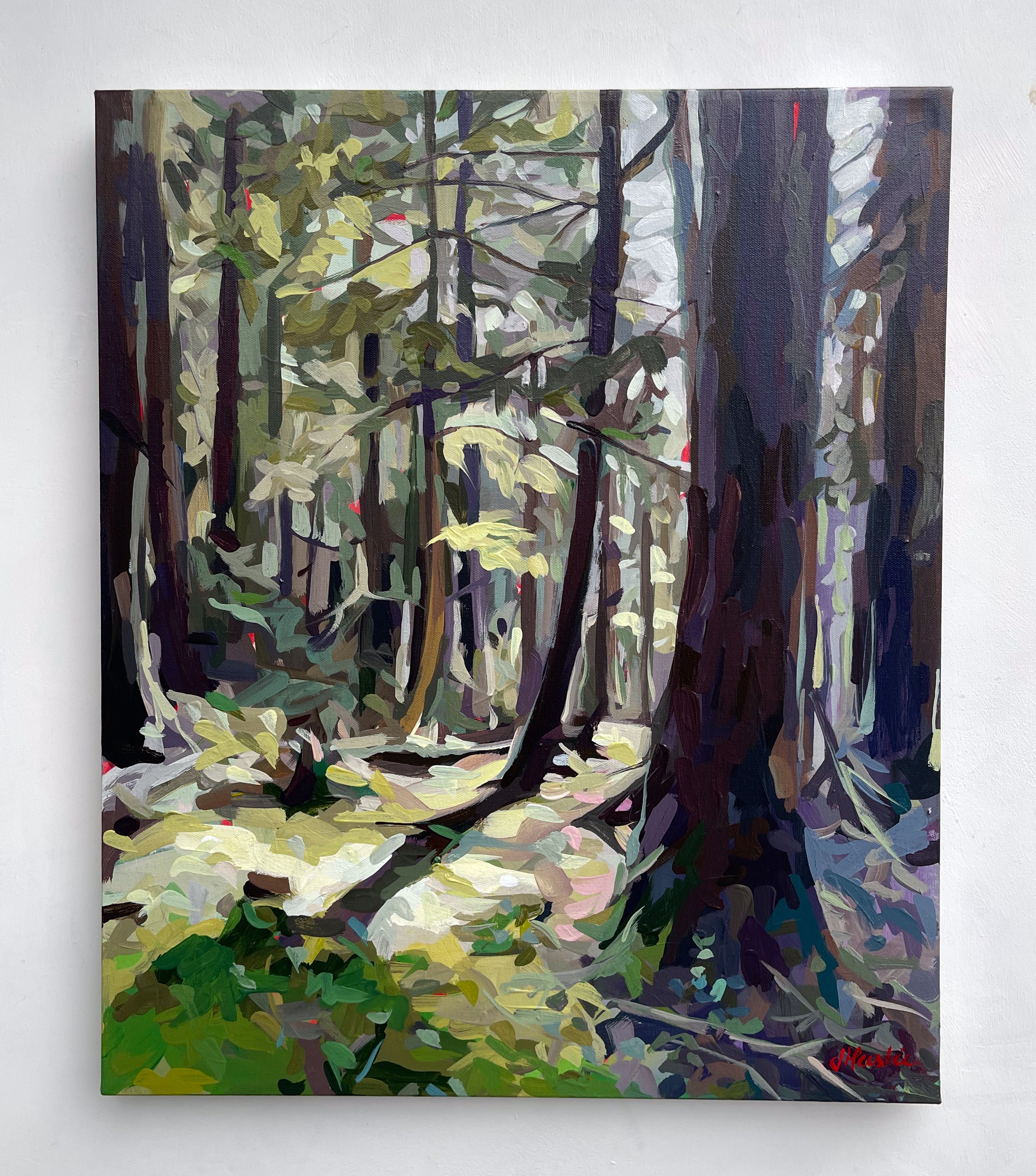 Forest Sunshine