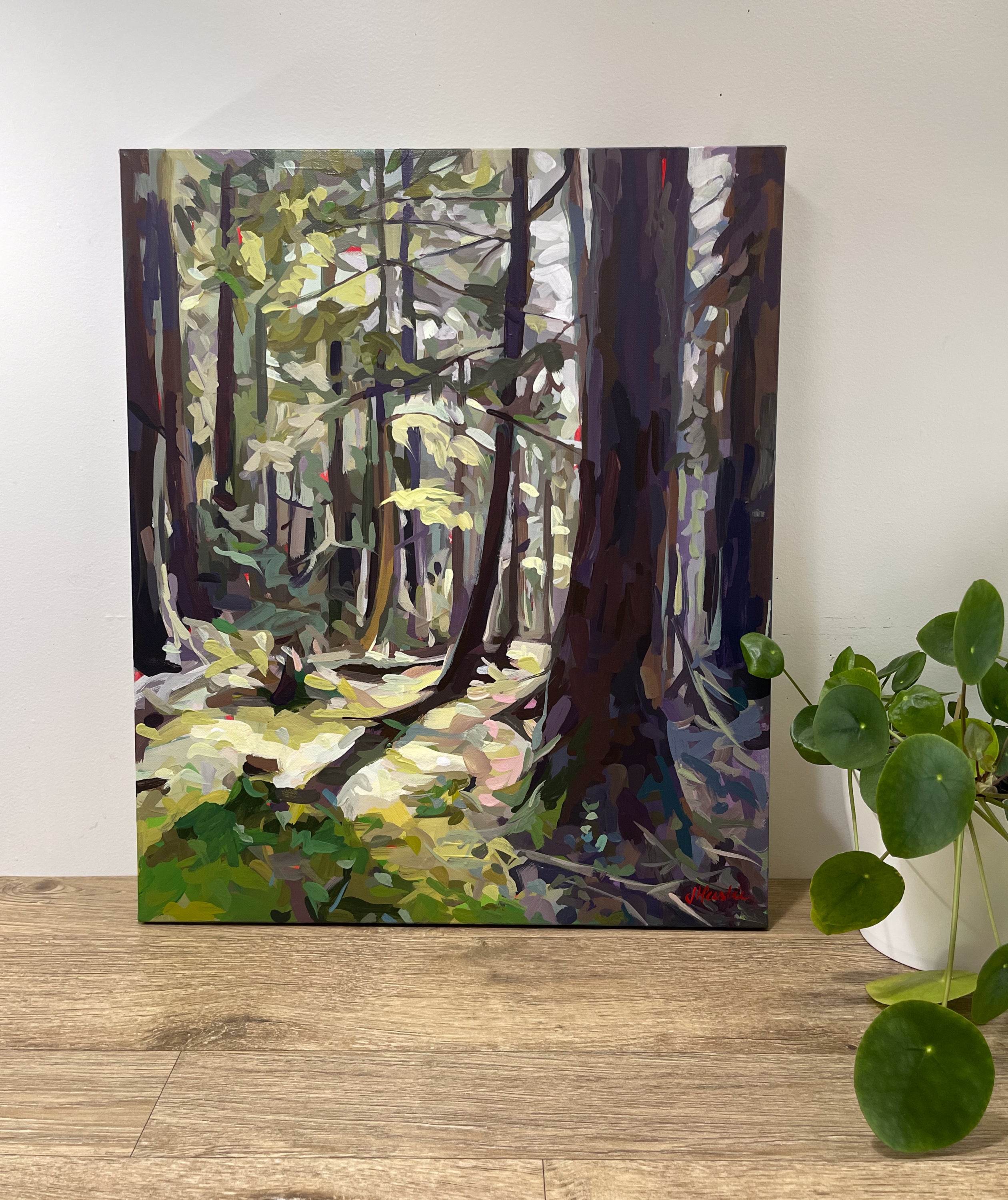 Forest Sunshine