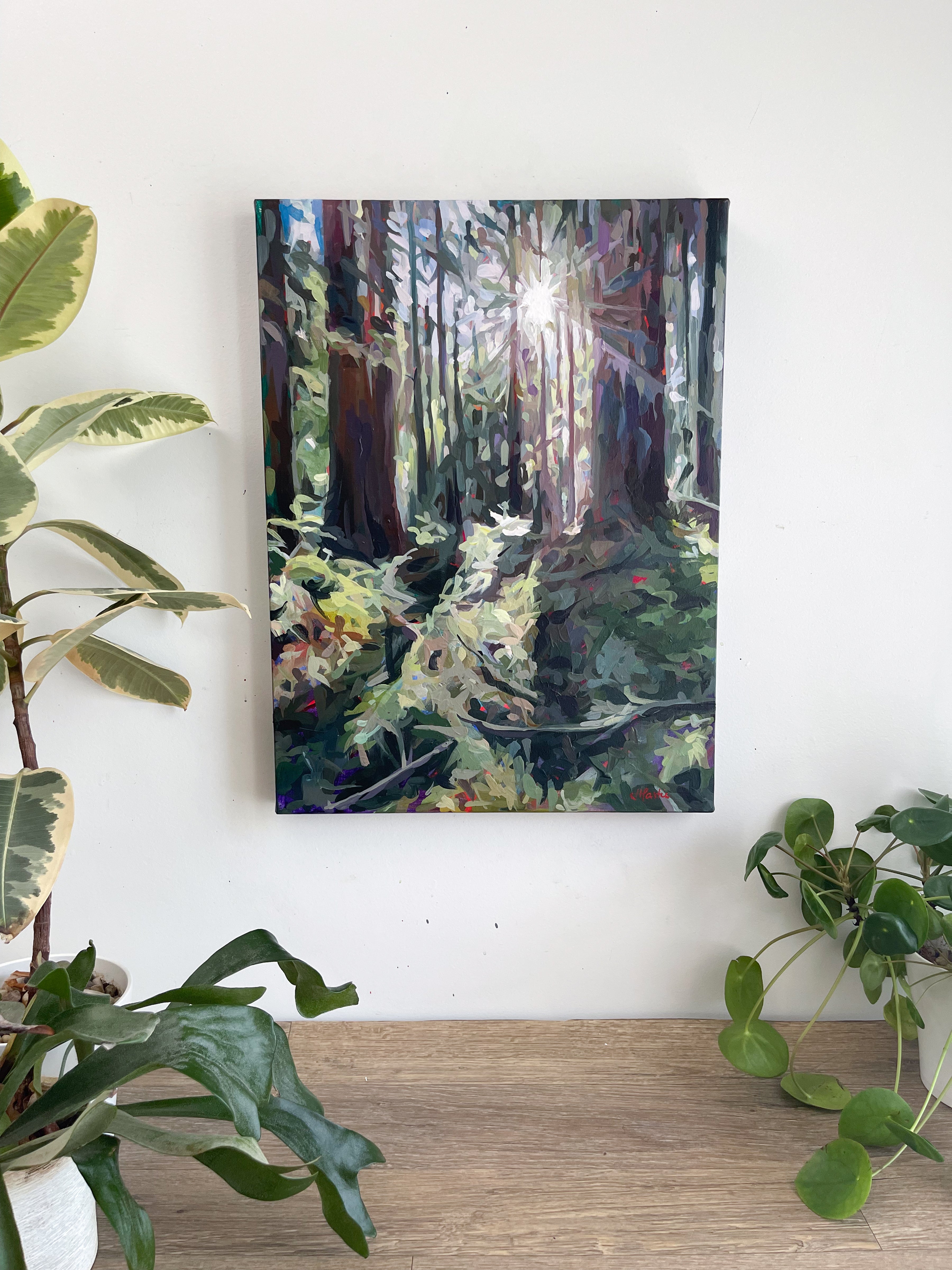 Forest Radiance