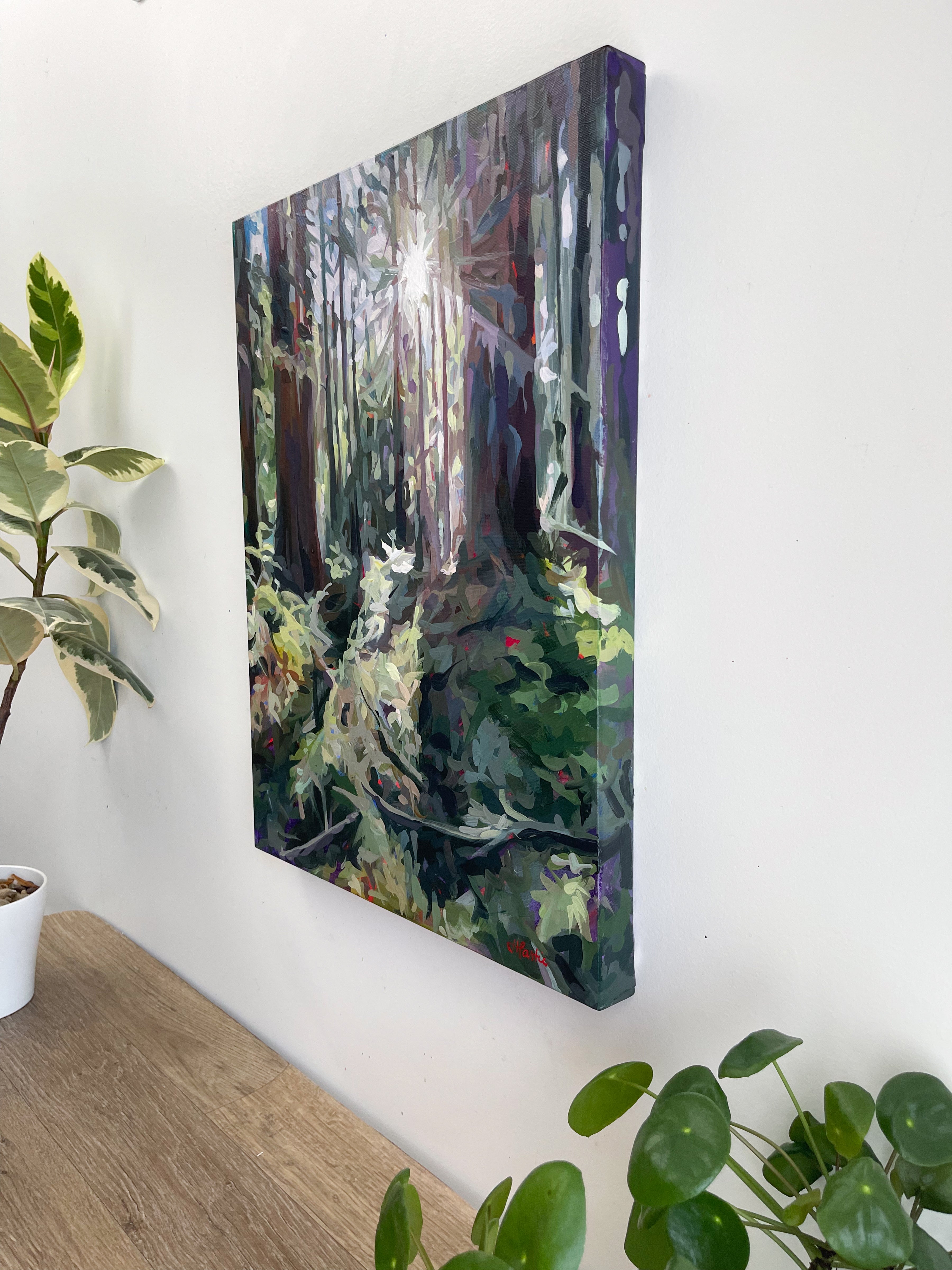 Forest Radiance