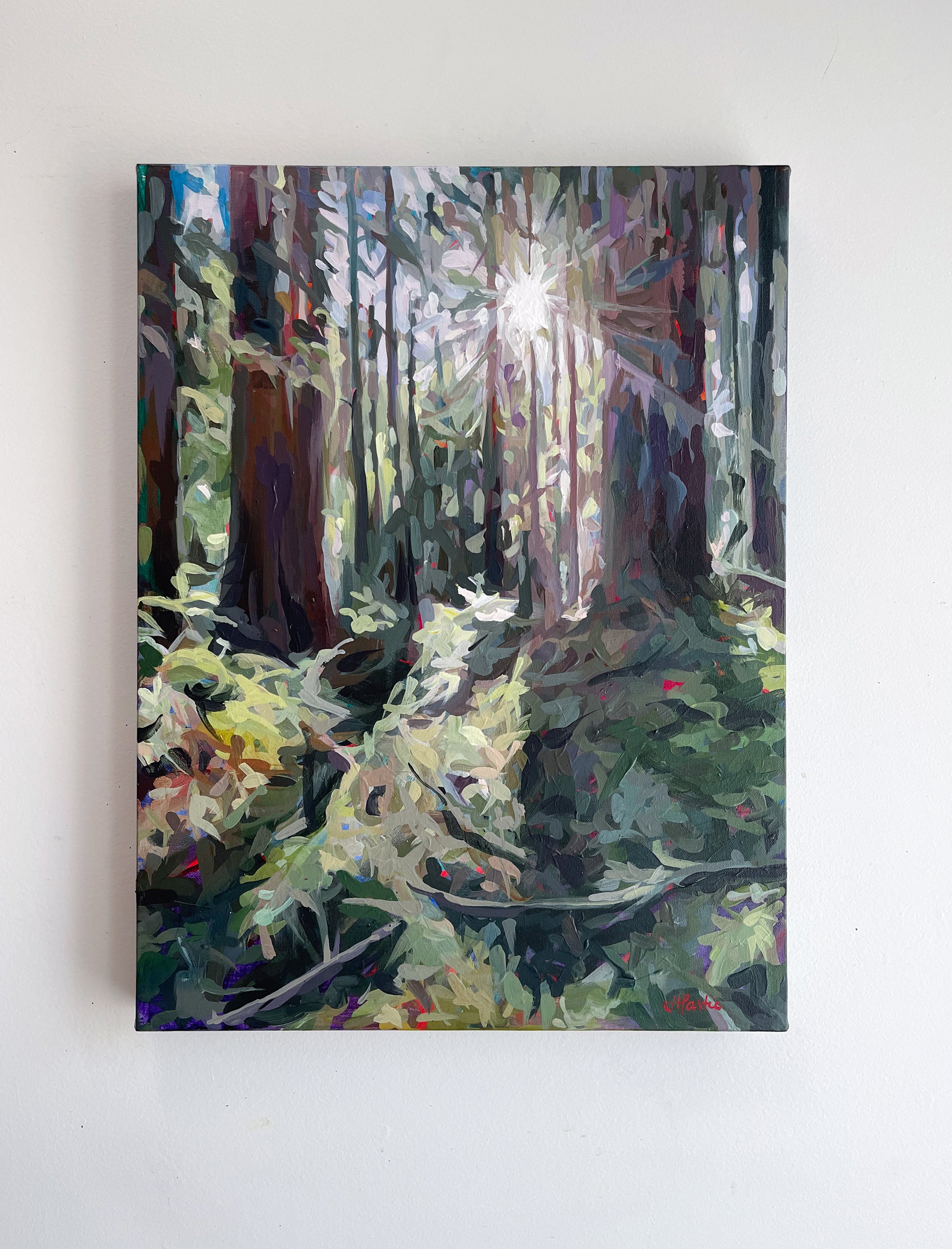 Forest Radiance