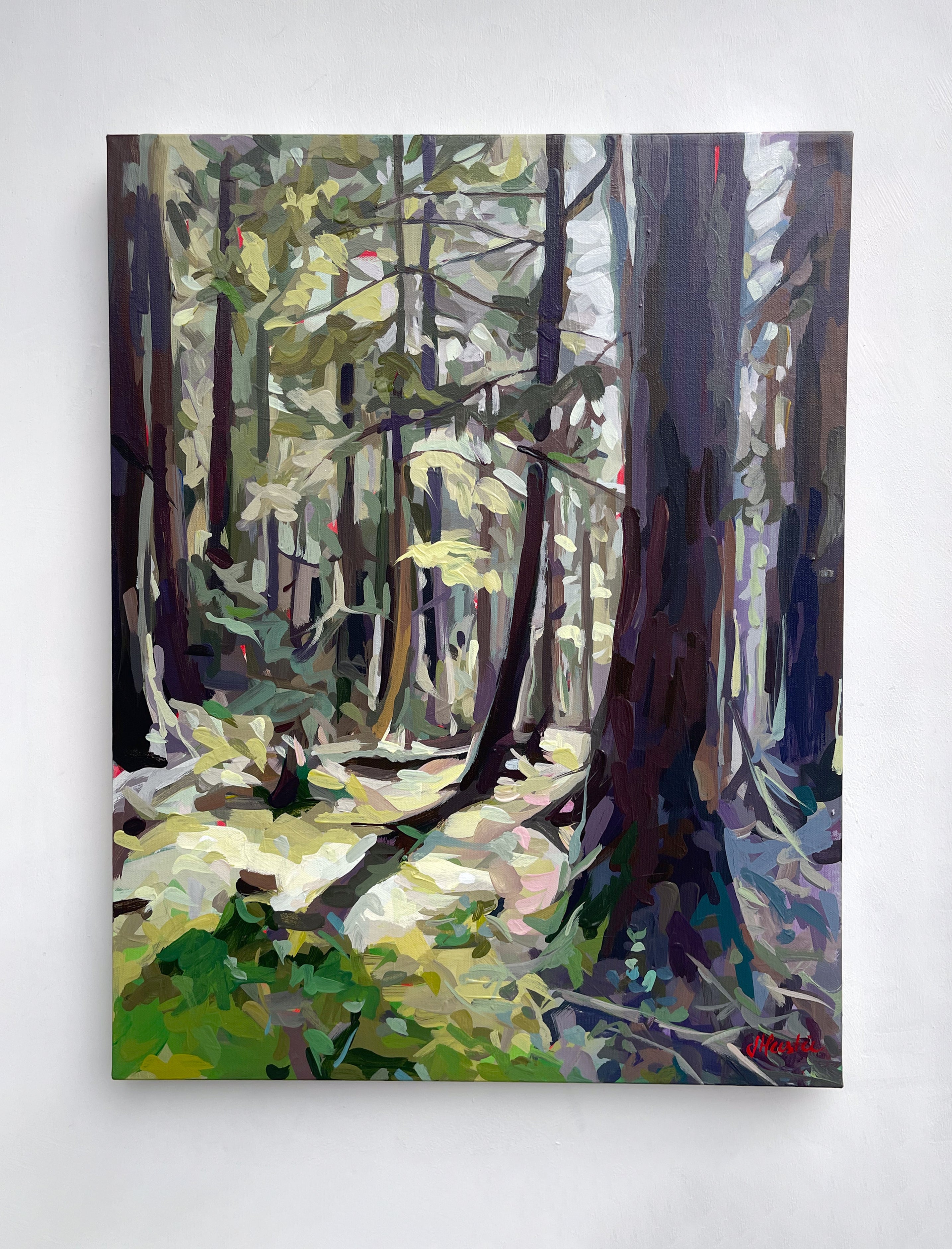Forest Sunshine