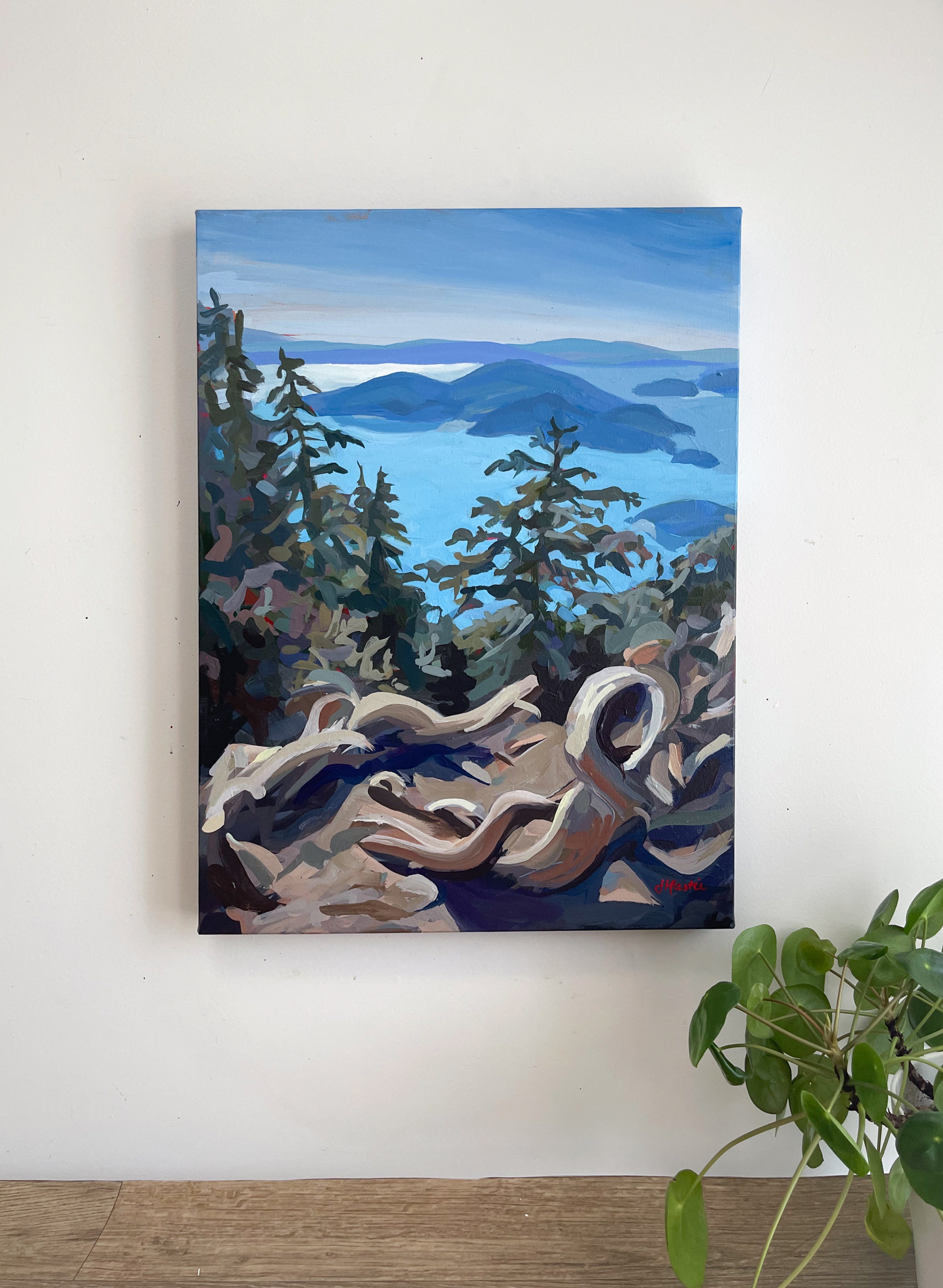 St Mark's Lookout