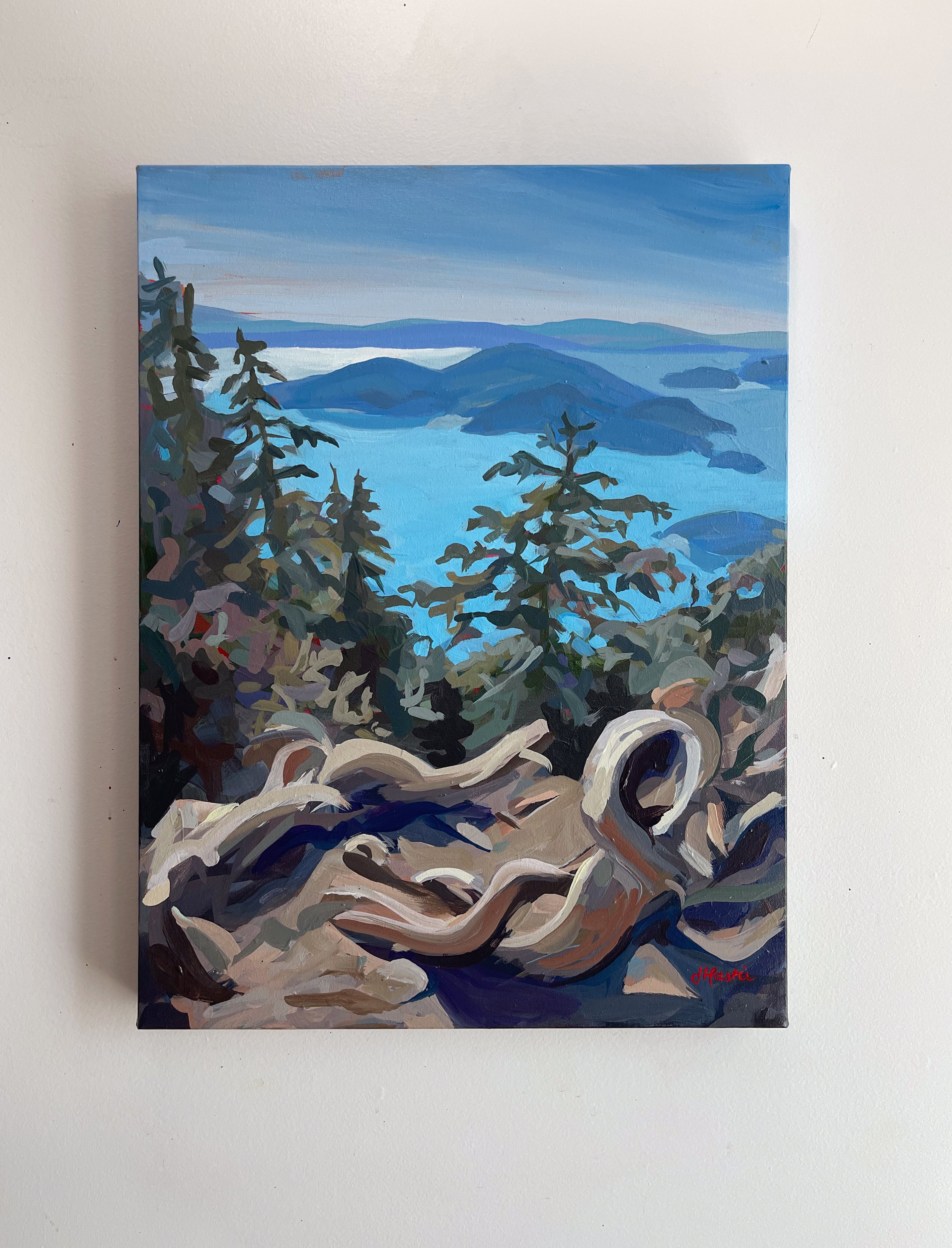 St Mark's Lookout