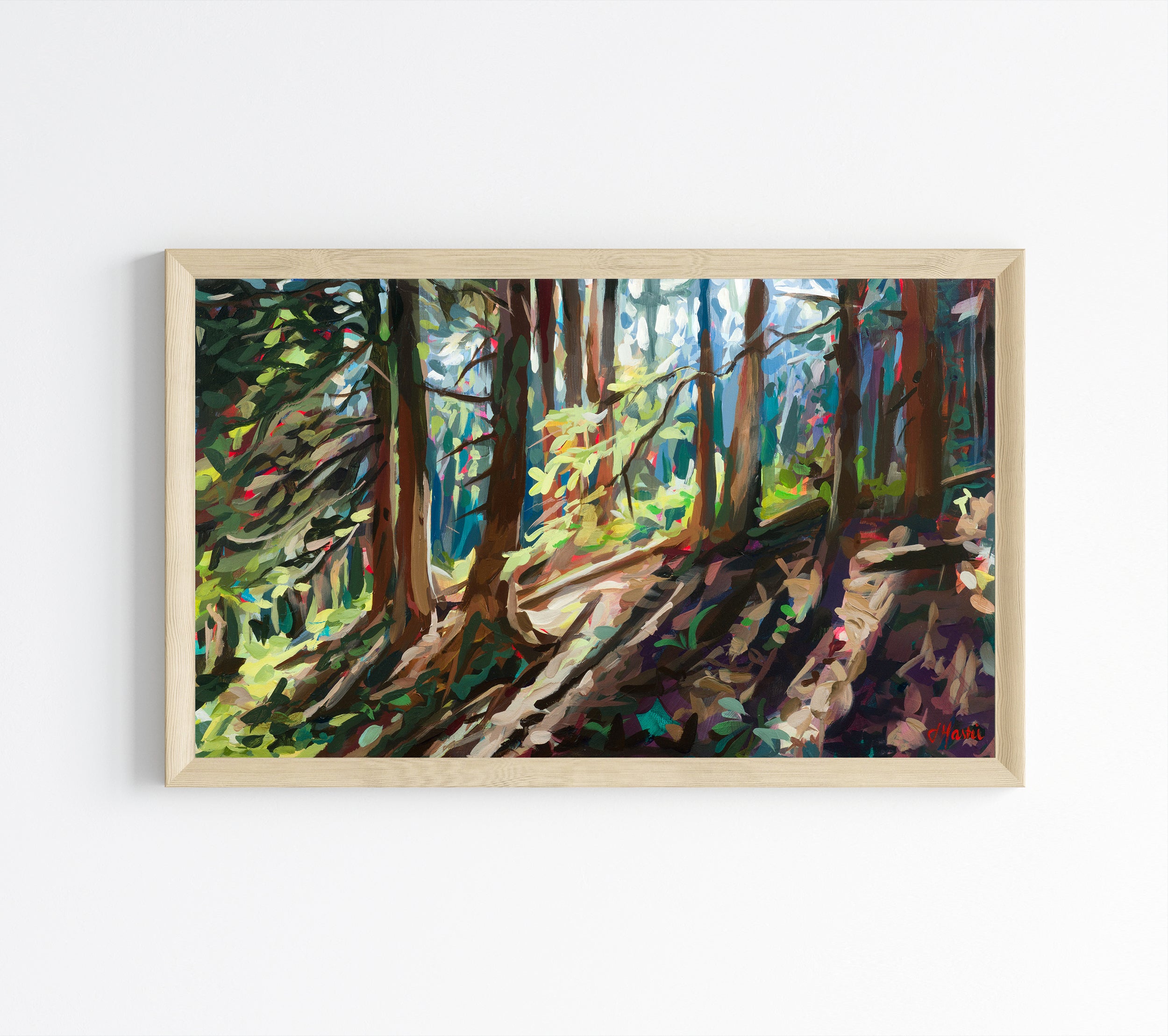 Forest Frame TV Bundle I