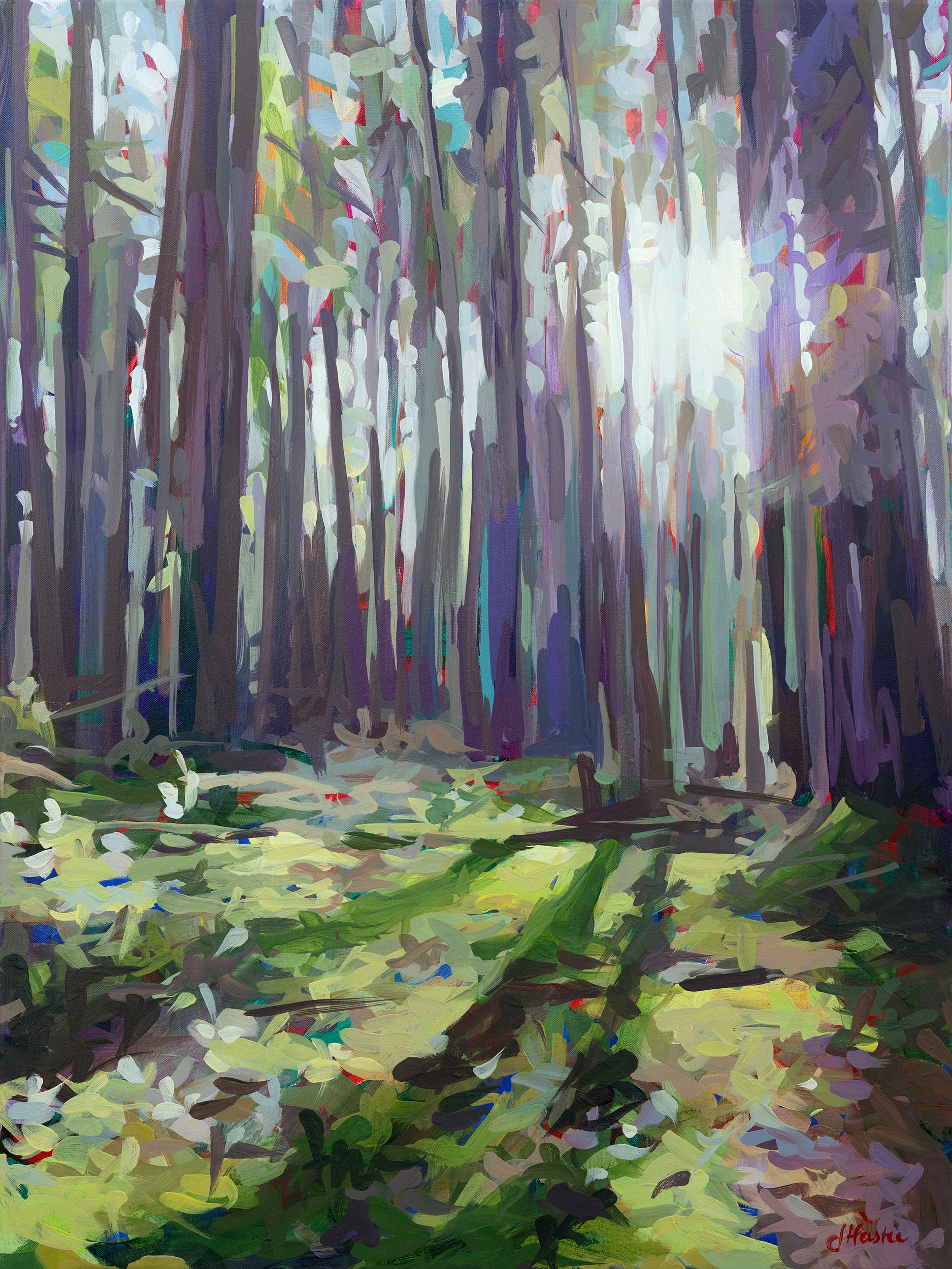 Sunlit Clearing