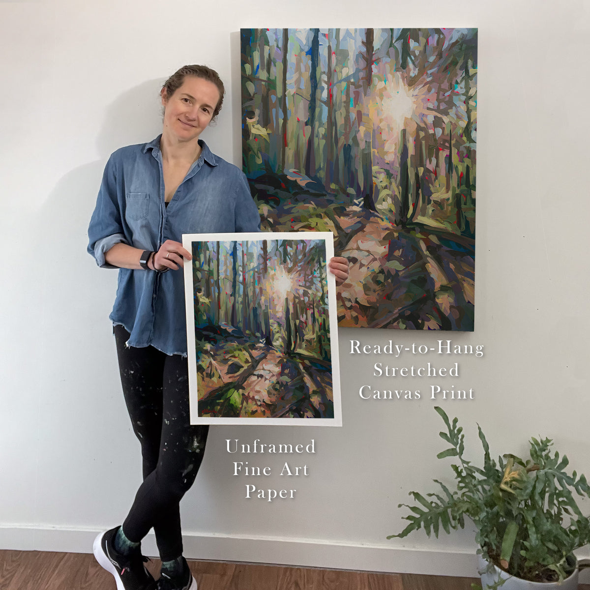 Seymour Sunburst Print