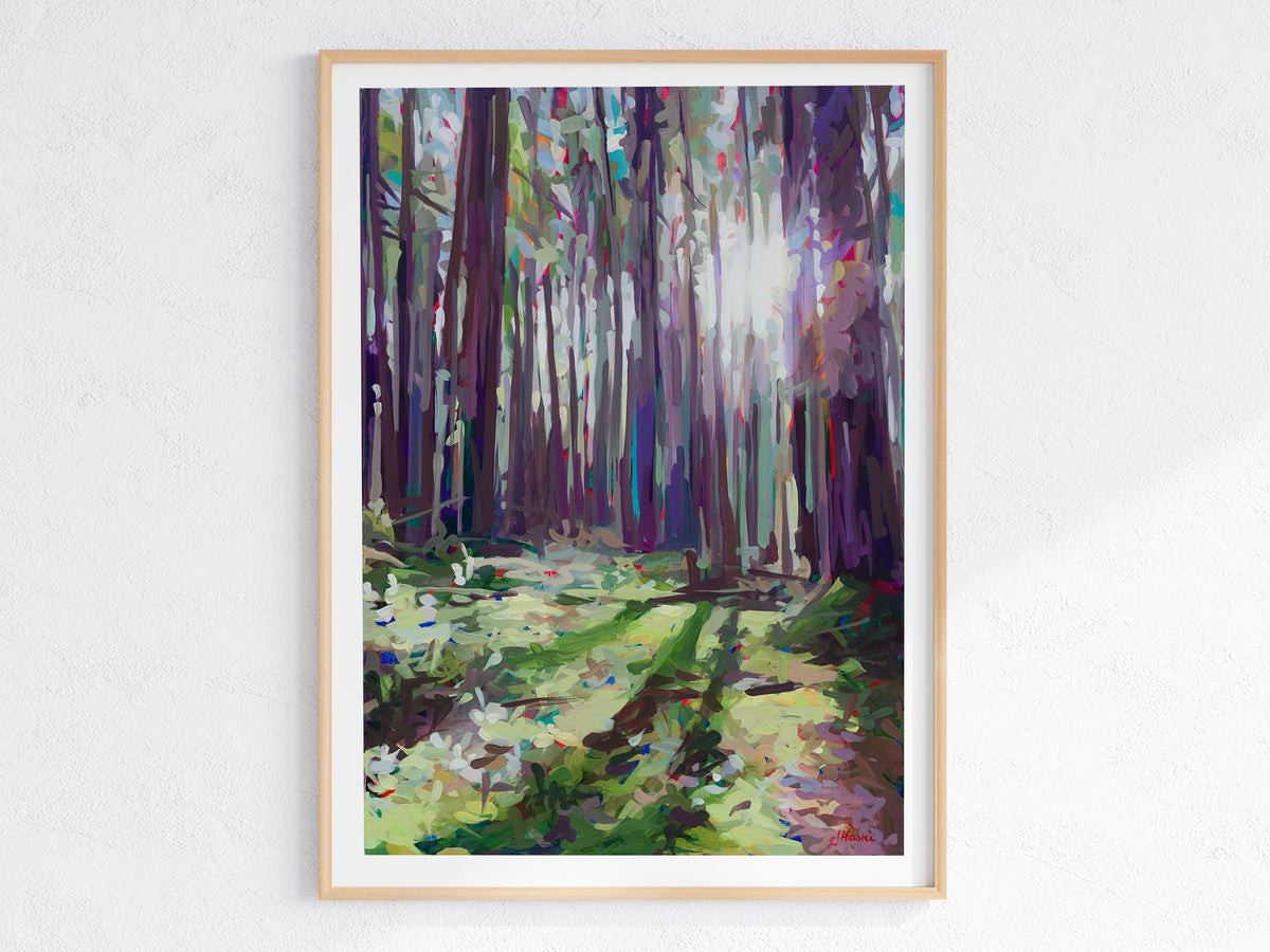 Sunlit Clearing Print