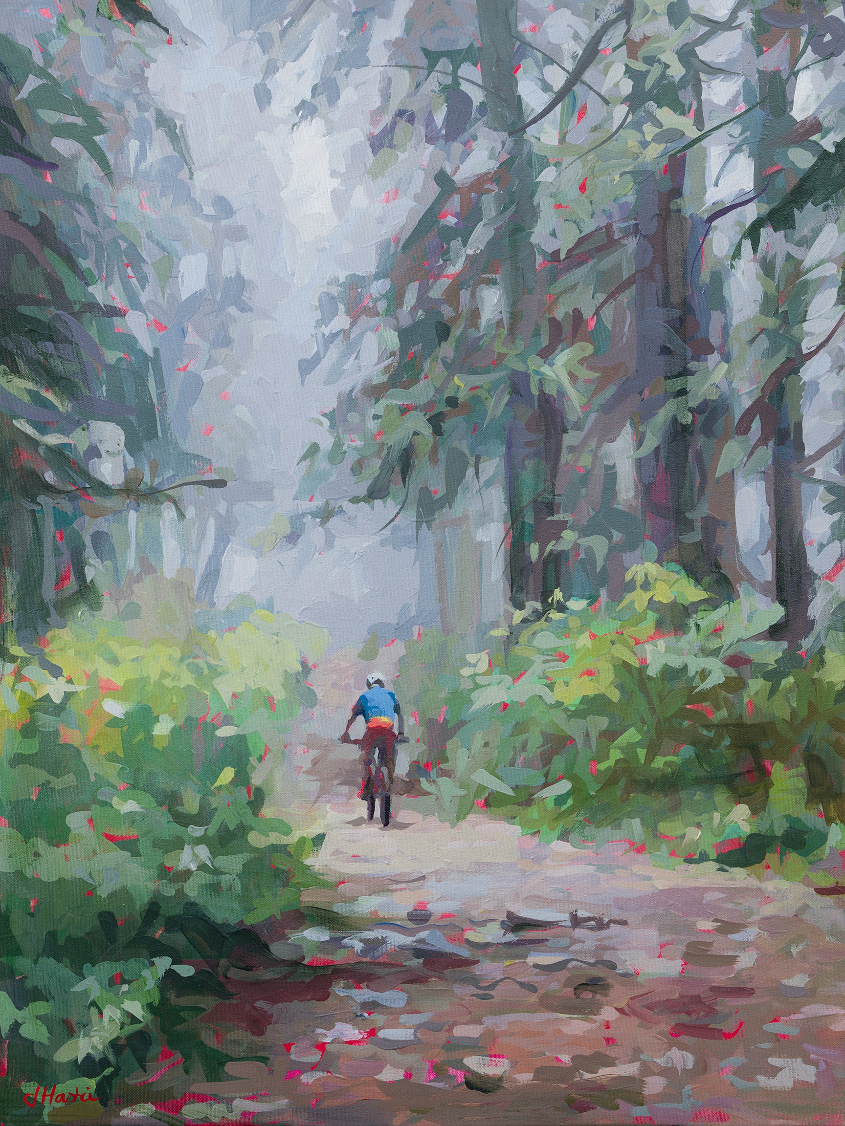 Foggy Ride