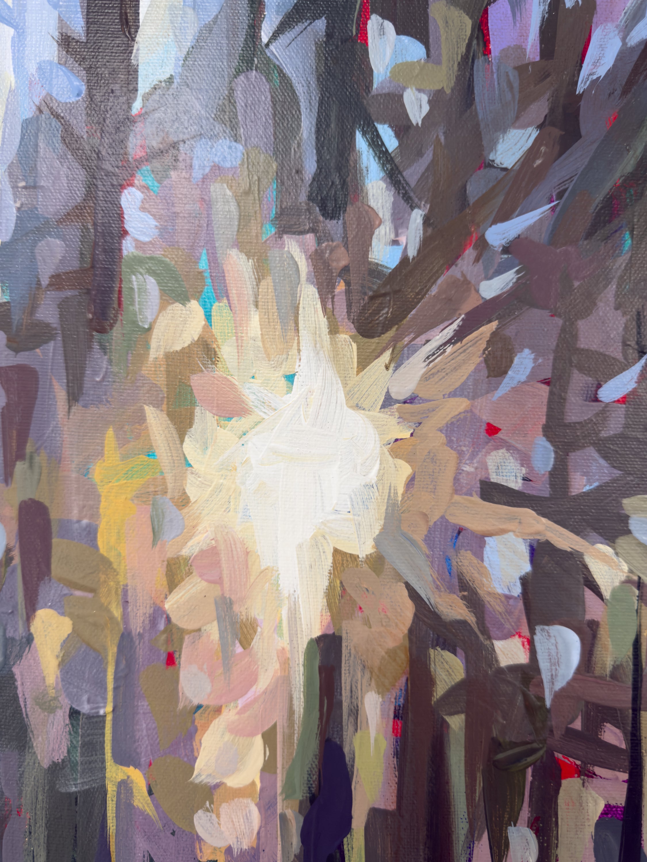 Seymour Sunburst