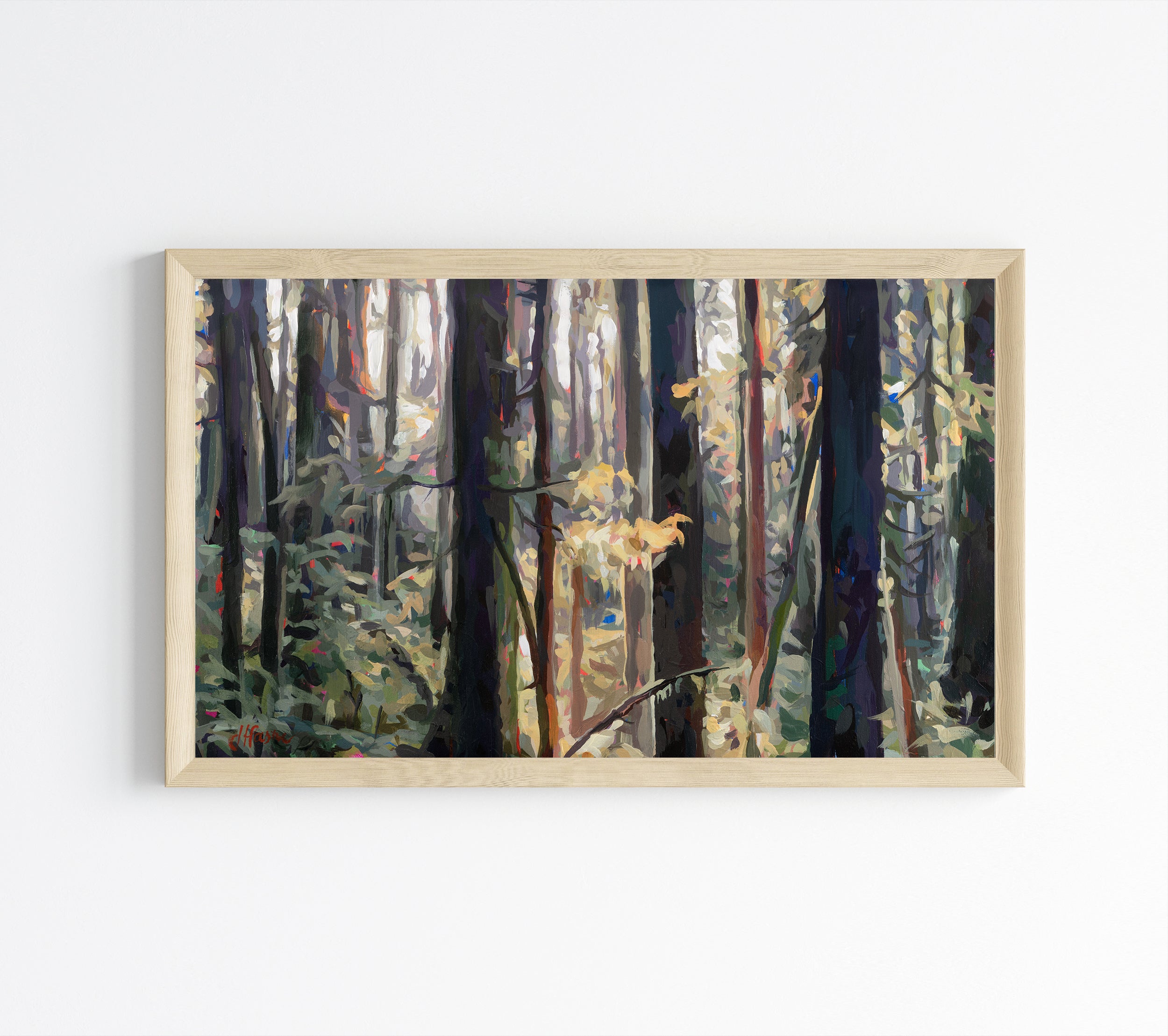 Forest Frame TV Bundle II