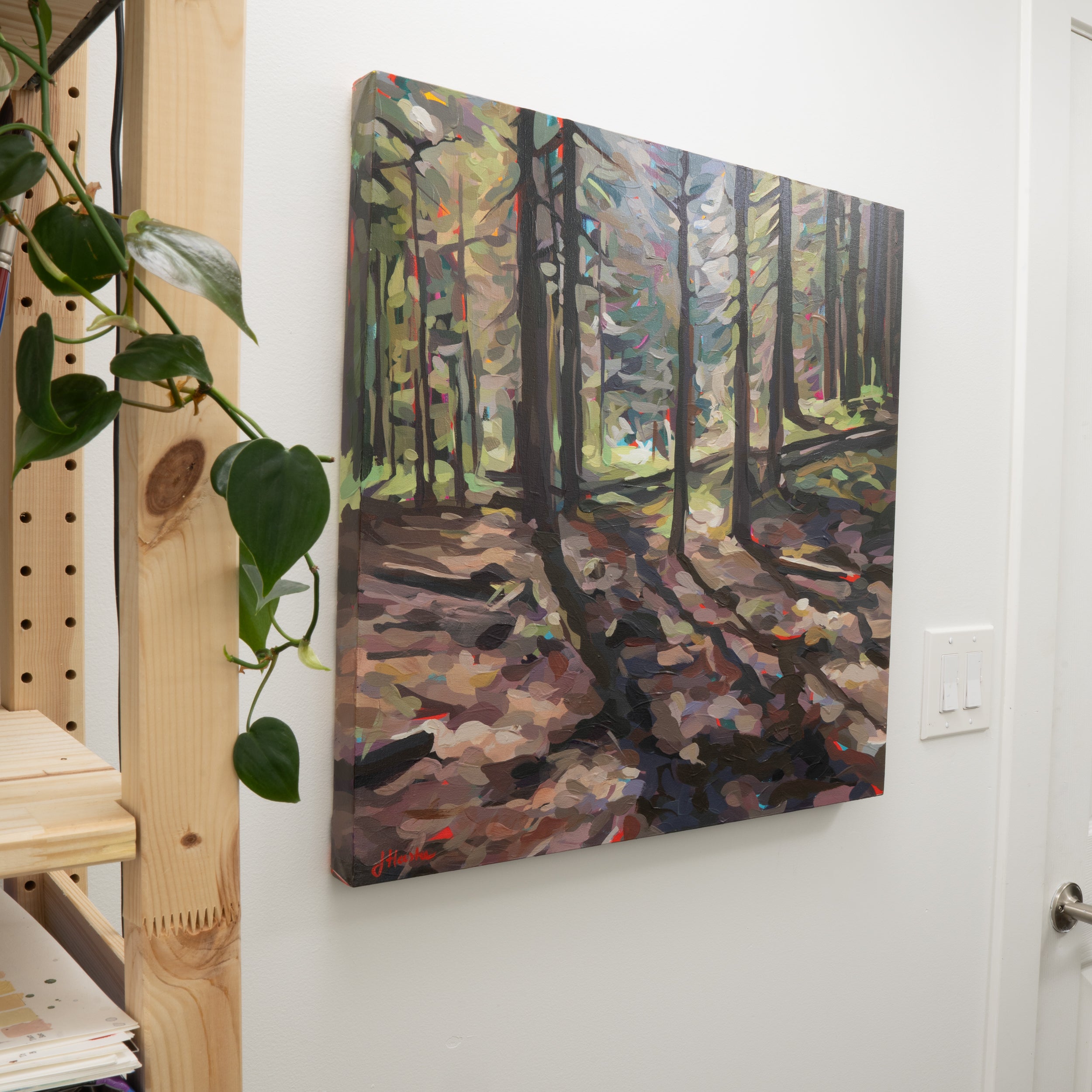 Forest Edge