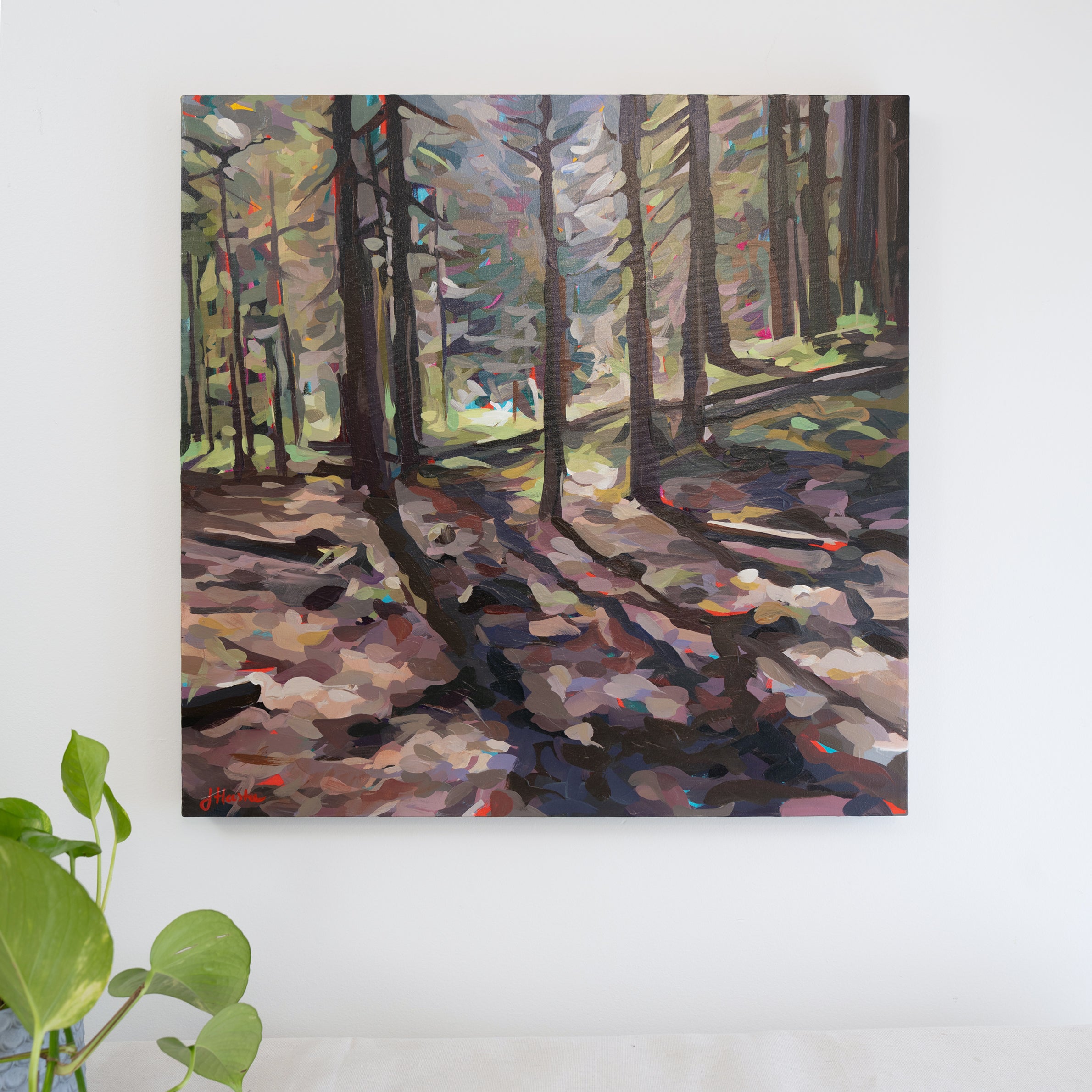 Forest Edge