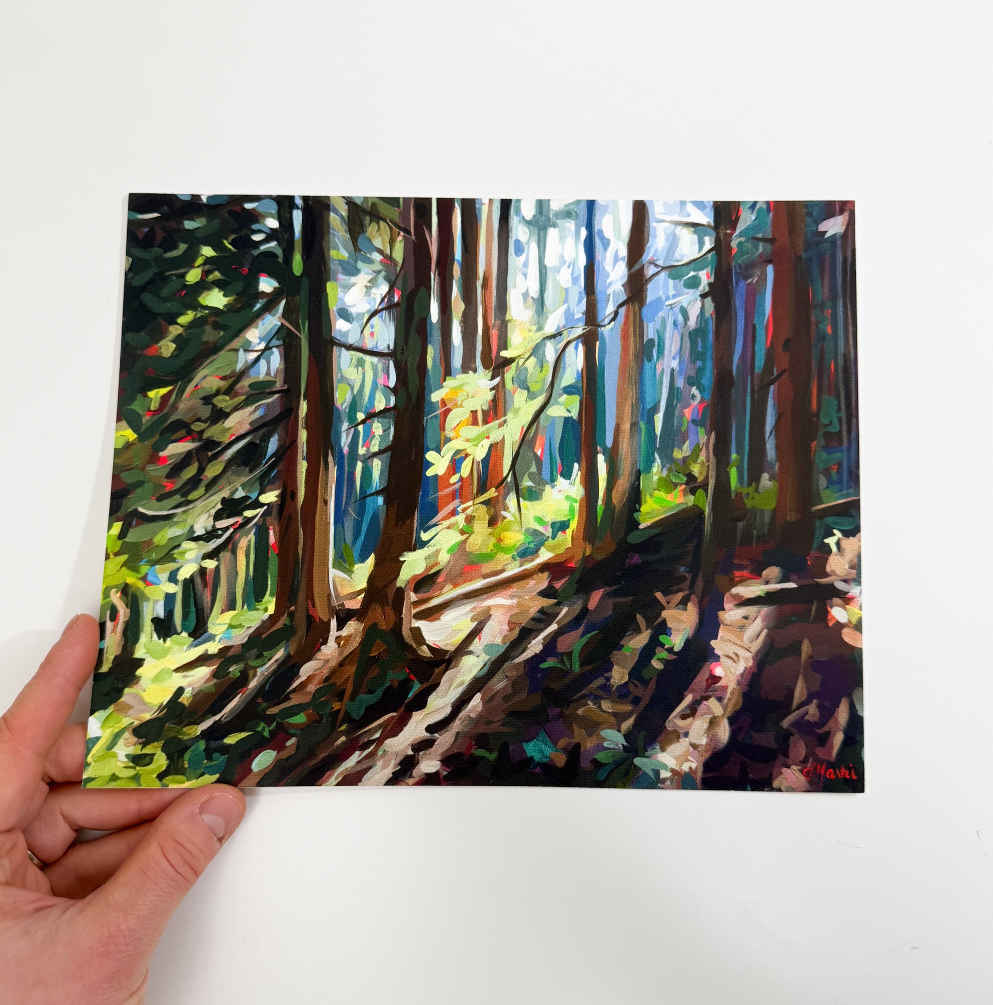 Hillside Shadows Print - Signed