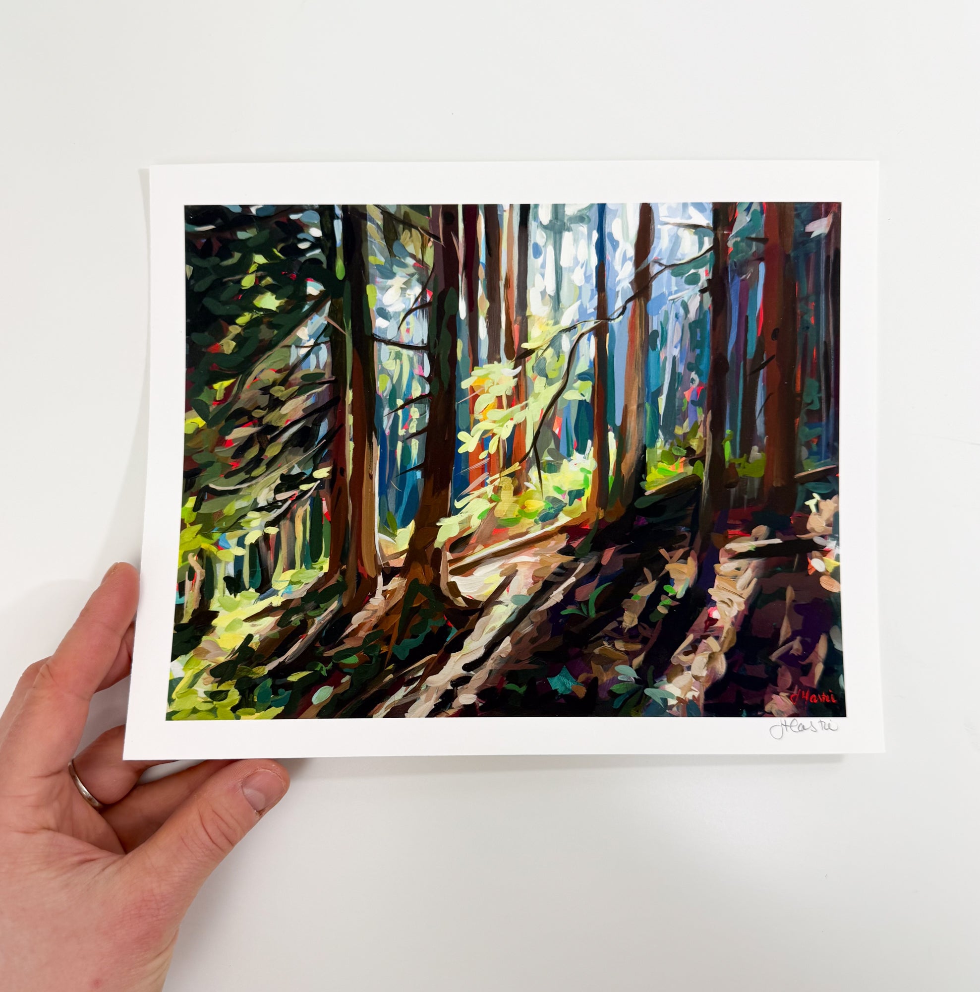 Hillside Shadows Print - Signed