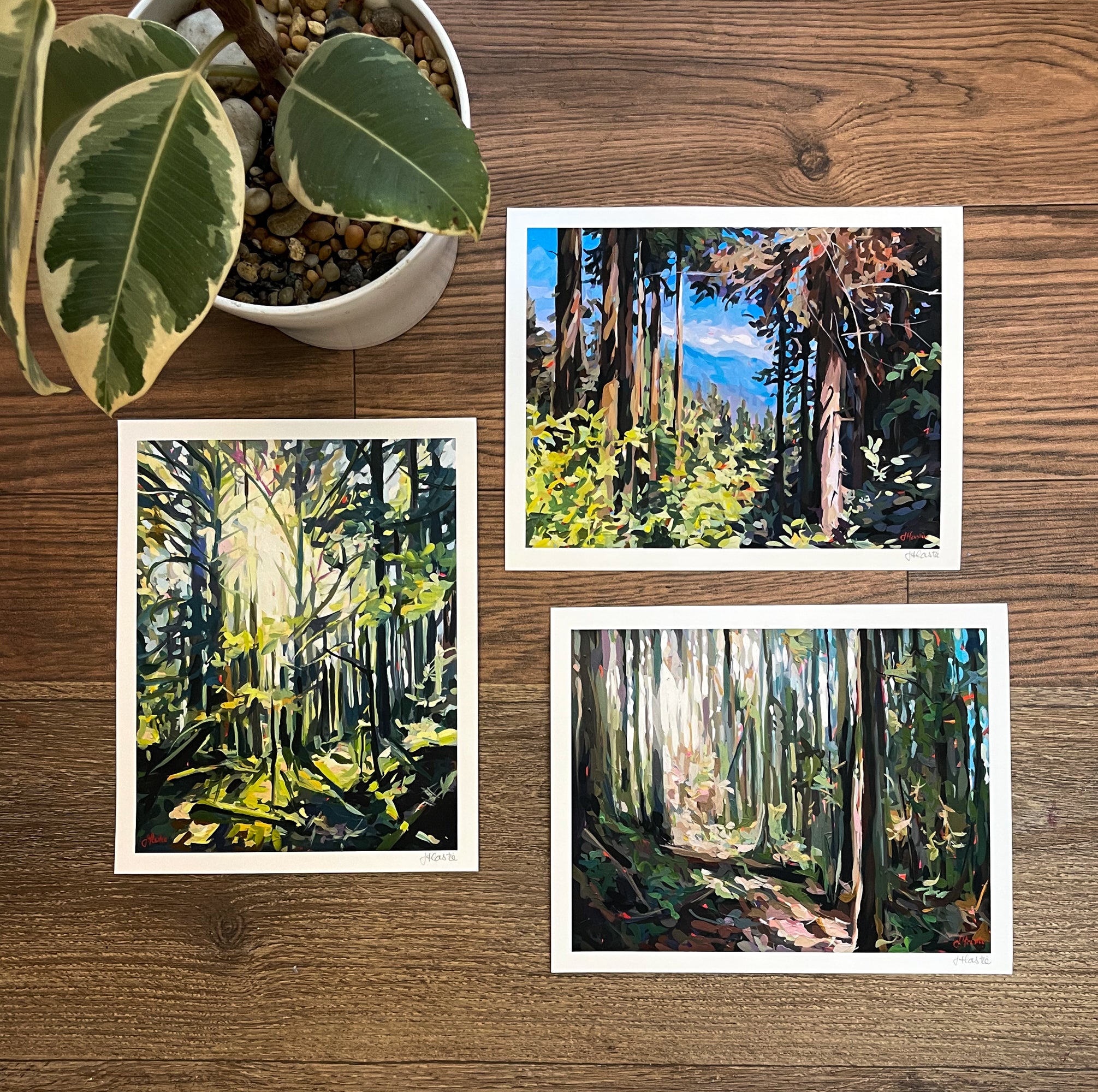 Forest Light Print